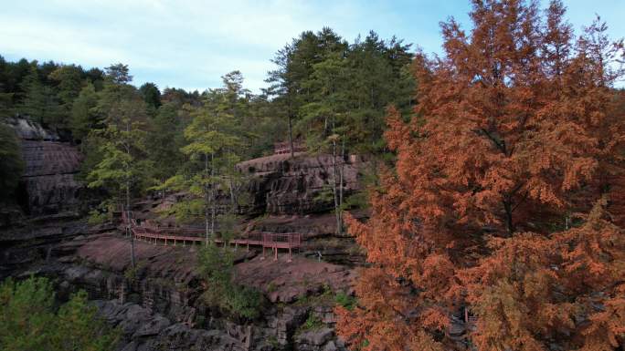 秦岭 龙脉 秋天 红叶 岩石