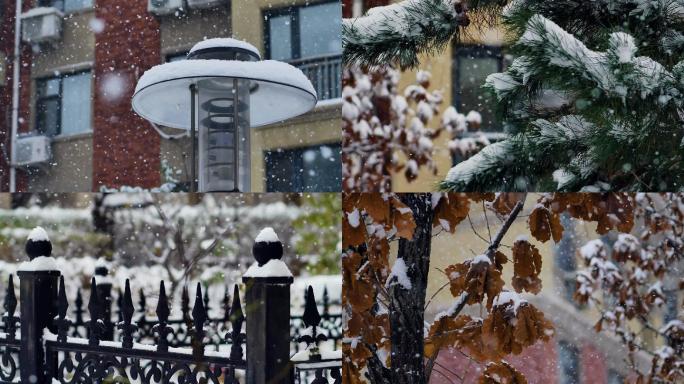 雪天空镜 视频 素材