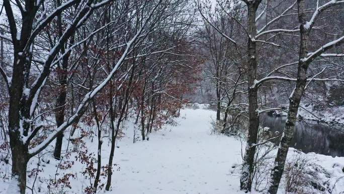 航拍 第一场雪 小河 乡村 唯美 振兴