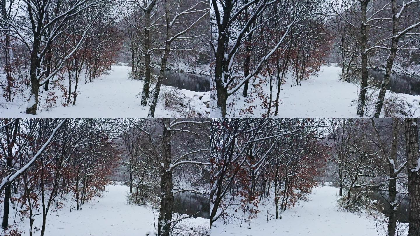 航拍 第一场雪 小河 乡村 唯美 振兴