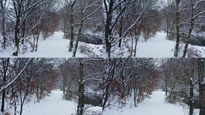 航拍 第一场雪 小河 乡村 唯美 振兴