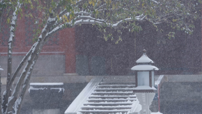 故宫雪景，唯美古风，大雪下雪，古建筑特写