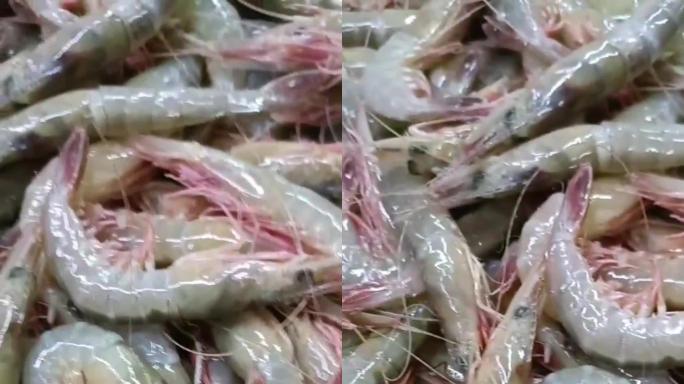 海鲜 竹节虾