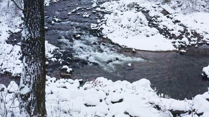 第一场雪 乡村振兴农村 雪景小河溪 生态