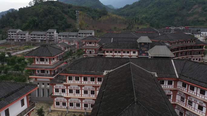 雅安芦山根雕城