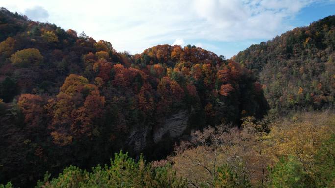 秦岭 龙脉 红叶 航拍 汉中 秋天风景3