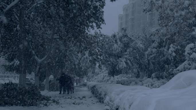 济南大雪中的街景