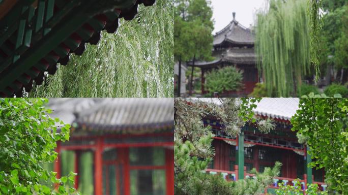 美丽的中式园林雨景升格