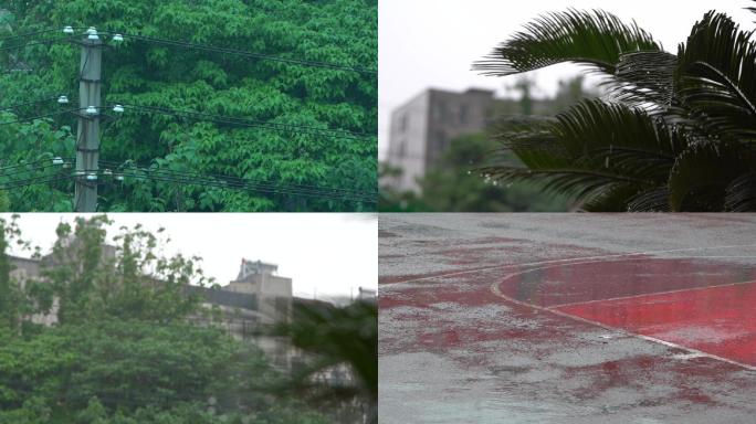 警示反腐城市树叶电线路面下雨纪委空镜头