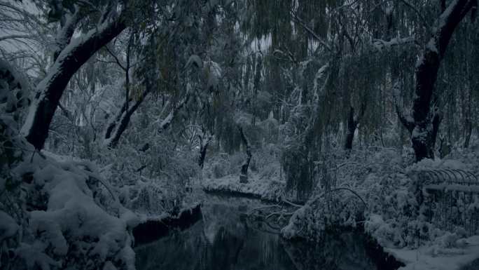 济南的冬天初雪过后大明湖景色