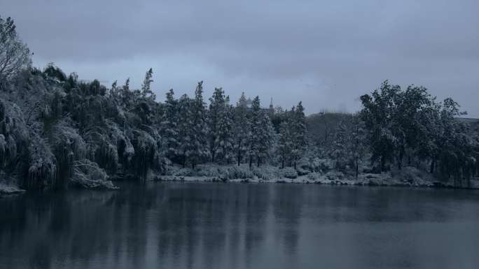 济南下雪后的大明湖平静的湖面