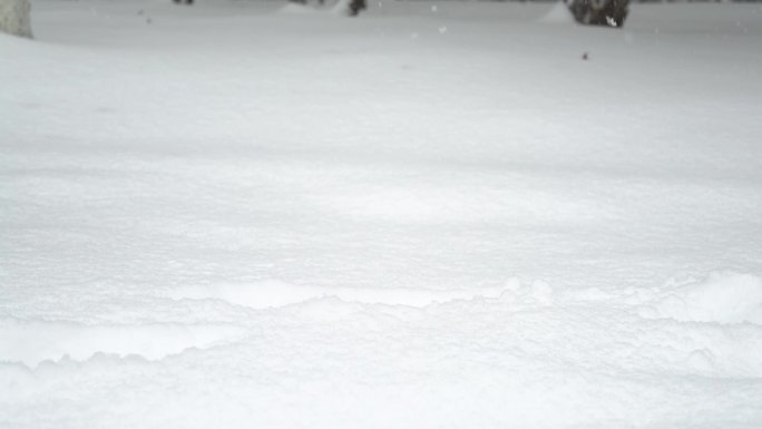雪中的脚步-黑裙子踏雪镜头
