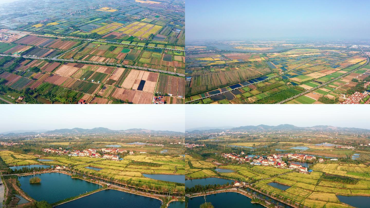 江汉平原农田池塘航拍