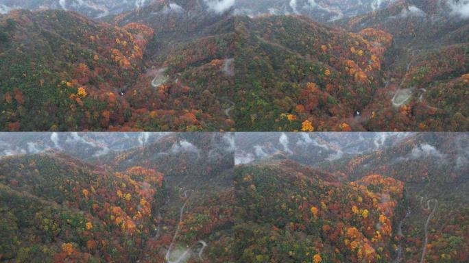 秦岭 盘山路  航拍  红叶 云雾 秋色