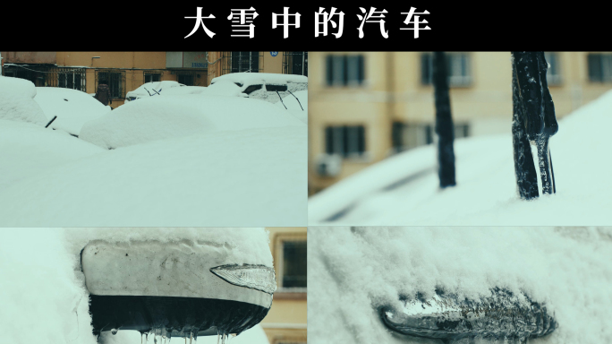 大雪中的汽车