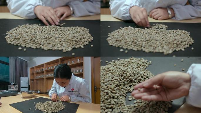 咖啡视频咖啡生豆手工挑拣过程