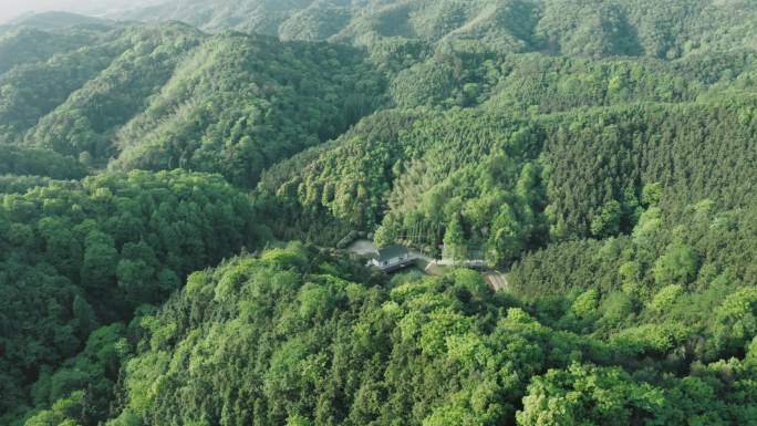 航拍大山冲森林公园