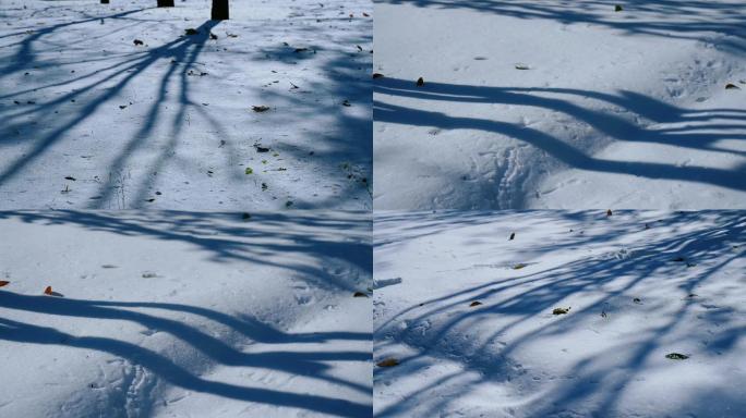 立冬 立冬 冬至 雪地 影子延时