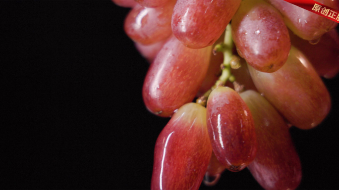 新鲜红葡萄提子出水滴水果合集 4K原创