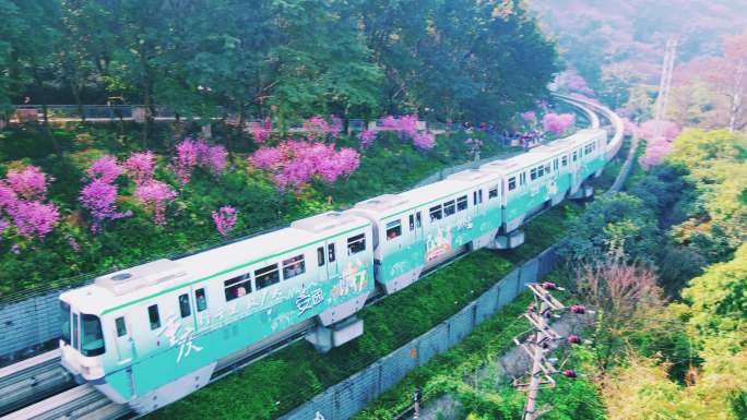 绝版的《开往春天的列车》重庆版 美丽中国