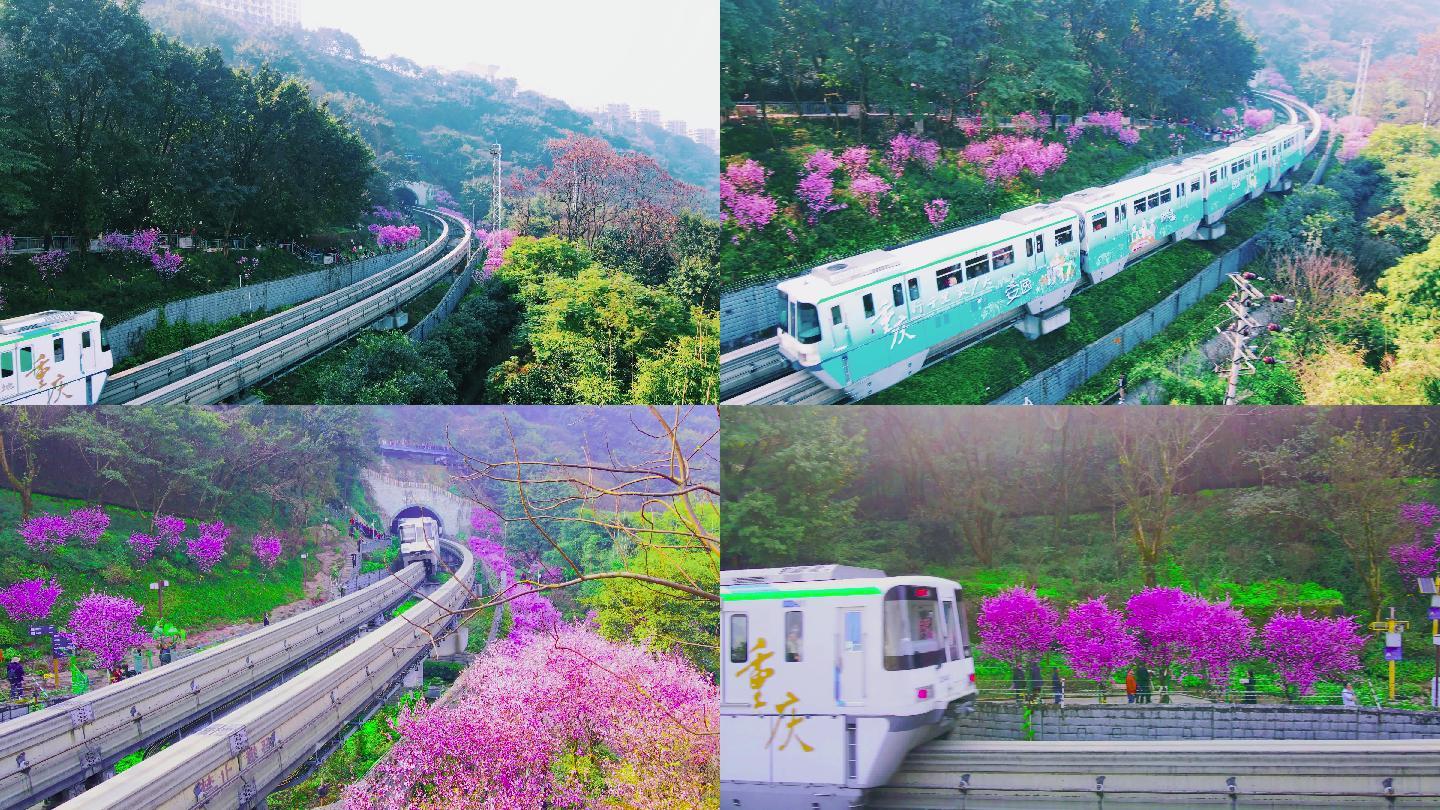 重庆：开往春天的列车-新闻频道-长城网