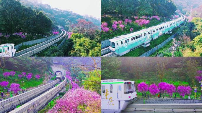 绝版的《开往春天的列车》重庆版 美丽中国