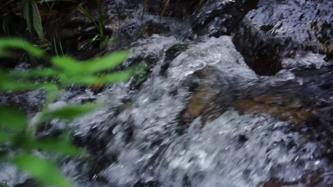 山林风景溪流升格茶园航拍