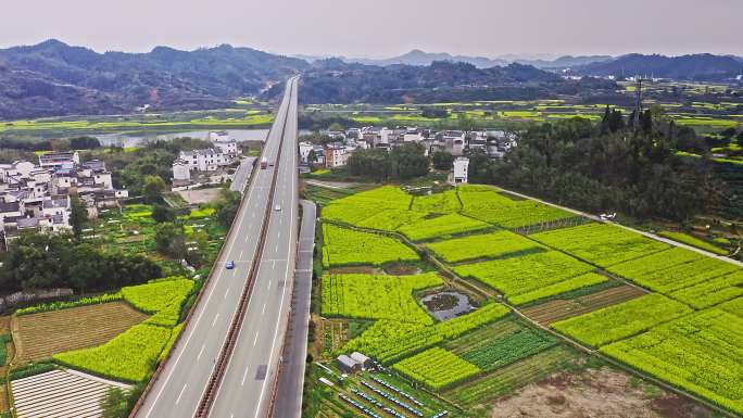 4K航拍高速公路穿过油菜花田