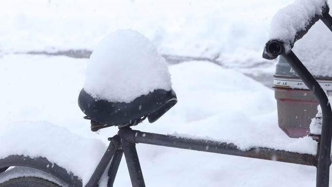 雪 暴雪 雪中牵手 大暴雪 积雪