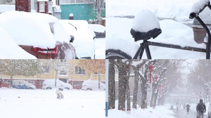 雪 暴雪 雪中牵手 大暴雪 积雪