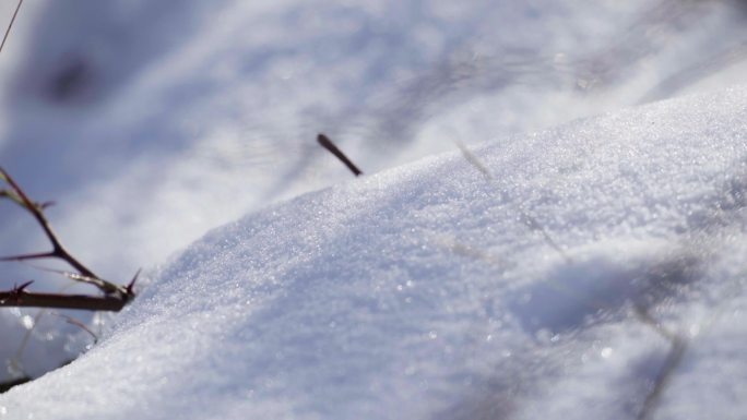 雪后