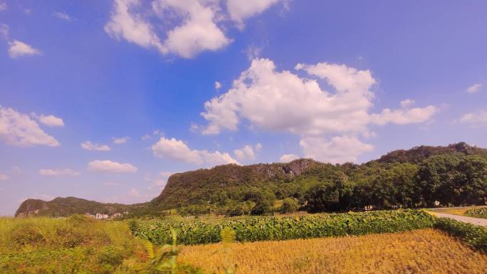 风景