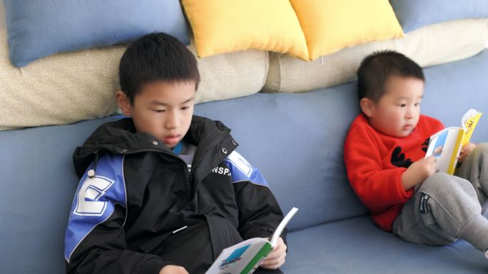 4K哥哥弟弟坐在客厅沙发上认真看书