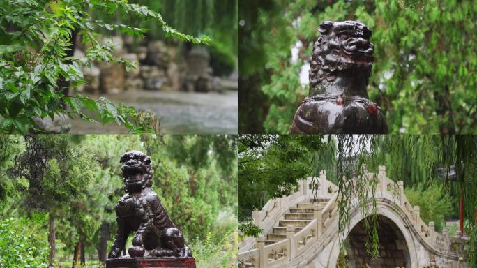 雨中古莲花池空镜