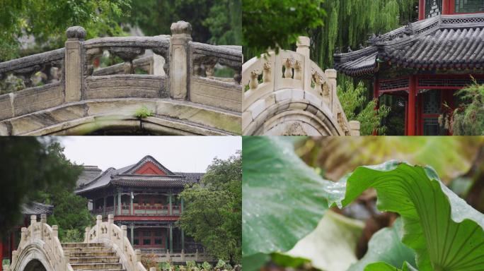 古莲花池雨景升格