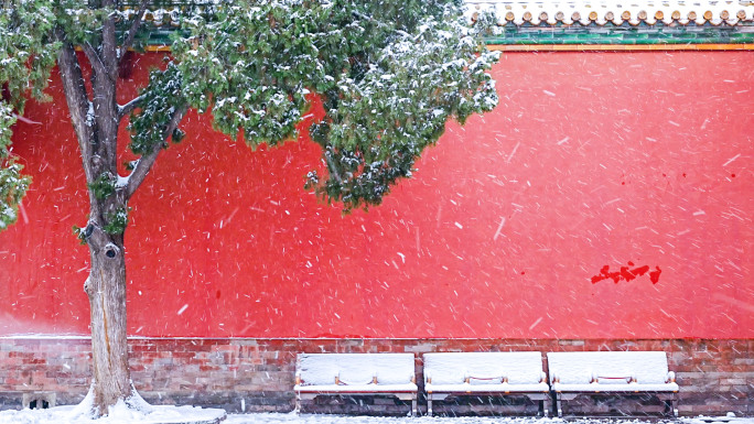 4k北京故宫雪景实拍