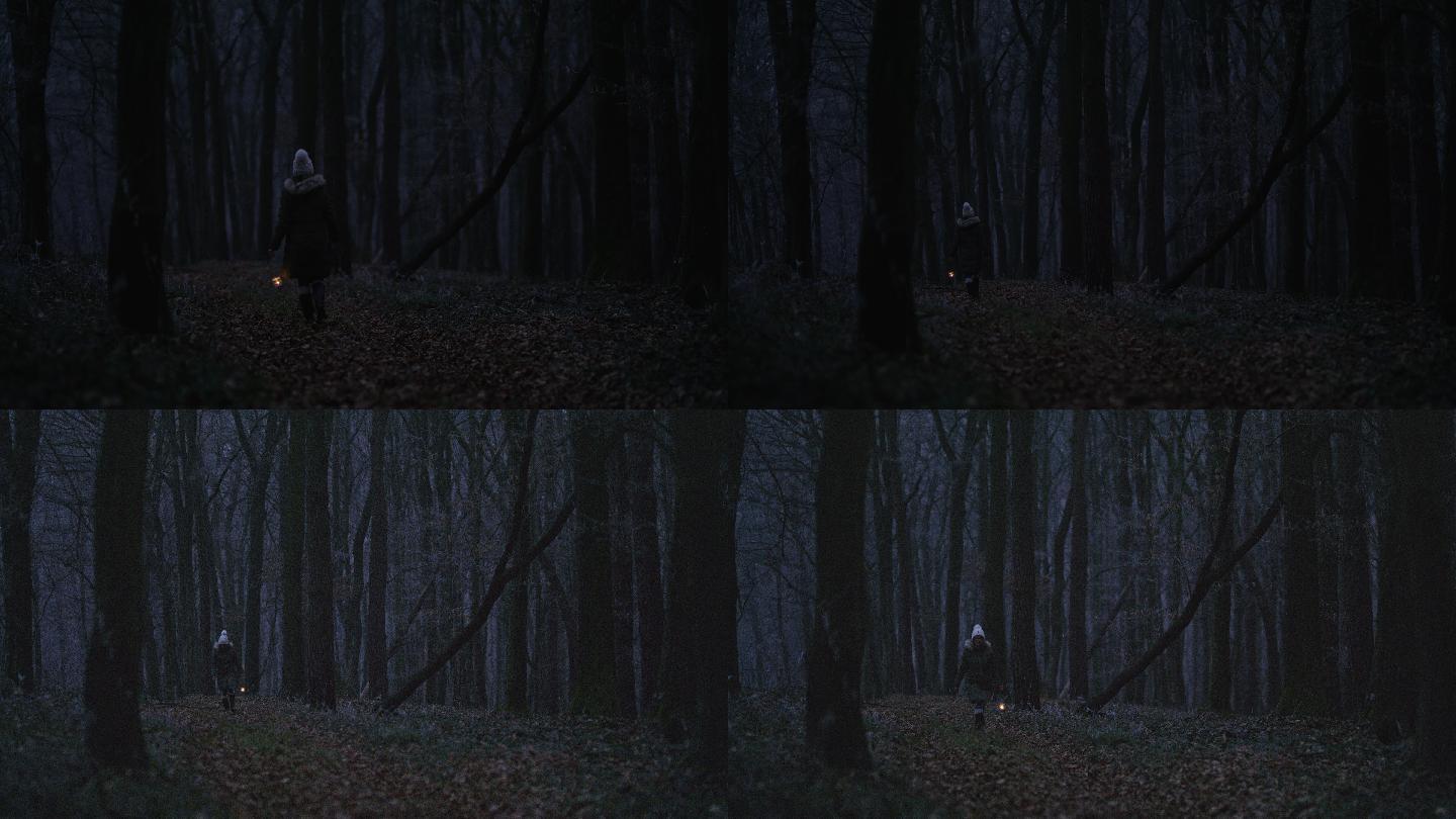 一名妇女提着灯笼穿过寒冷的森林