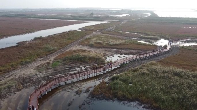 湖边跑道城区公园碱蓬草野地航拍2