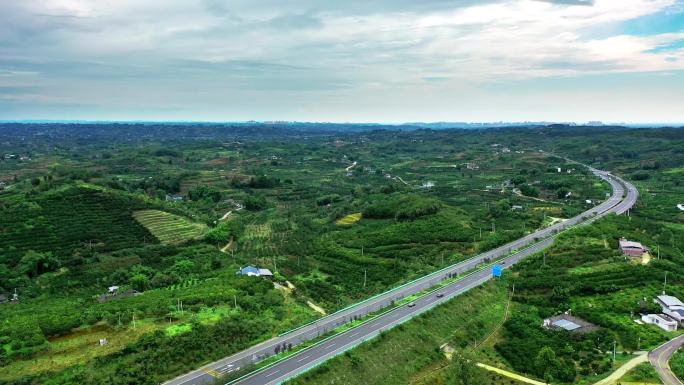 航拍柑橘种植园 柑橘规模化种植 新农村