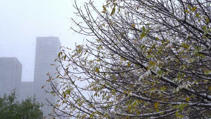 4K北京城市风雪大雪严寒08