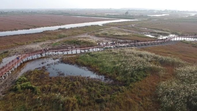 湖边跑道城区公园碱蓬草野地航拍