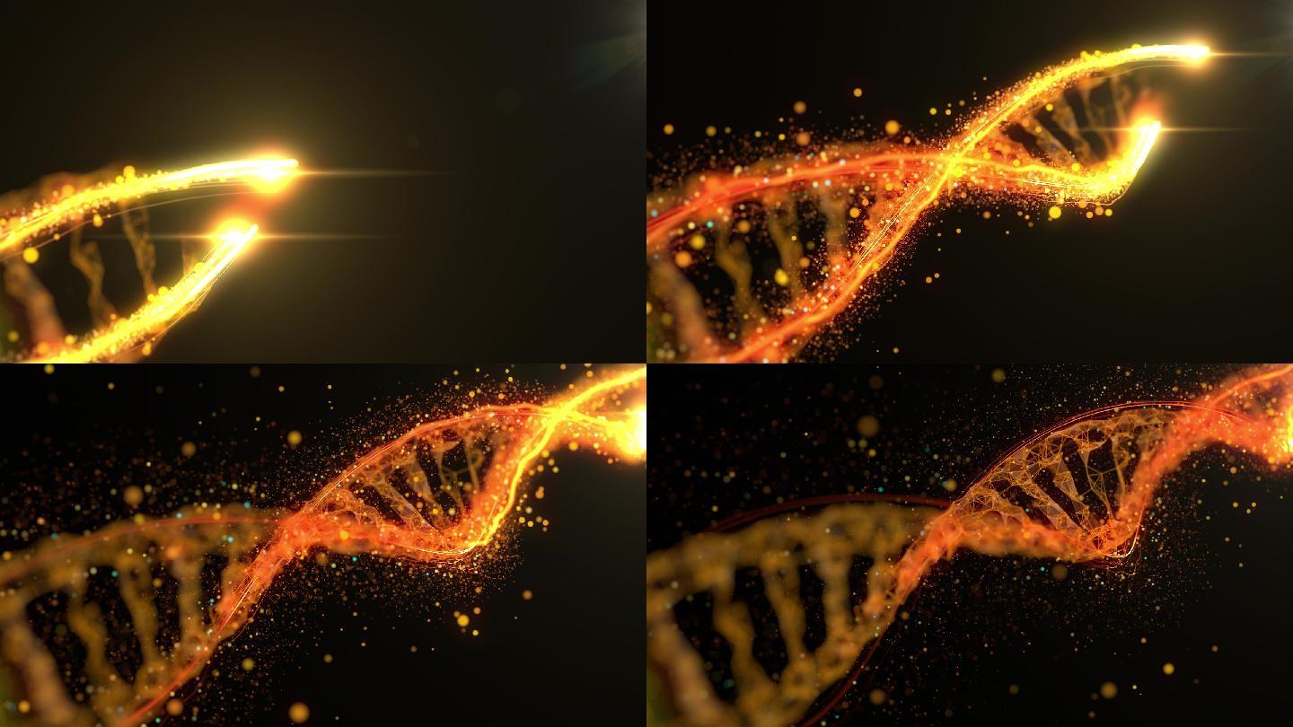 DNA 螺旋 光线穿梭 粒子特效