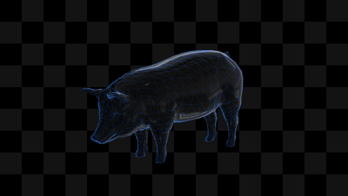 全息展示全息猪科技动物2-循环alpha