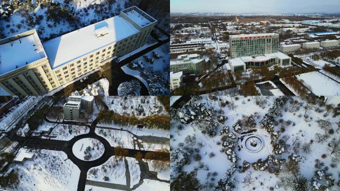 沈阳职业技术学院 雪景