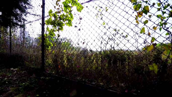 秋天公园里的围栏06