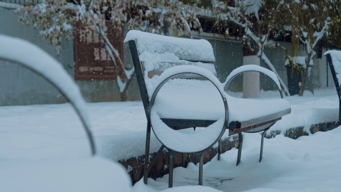 【版权】实拍4k下雪唯美素材