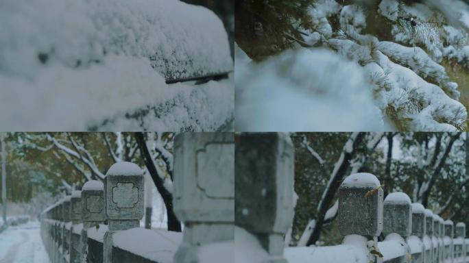 【版权】实拍4k下雪唯美素材