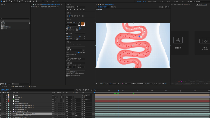 肠道剖面 益生菌 模板