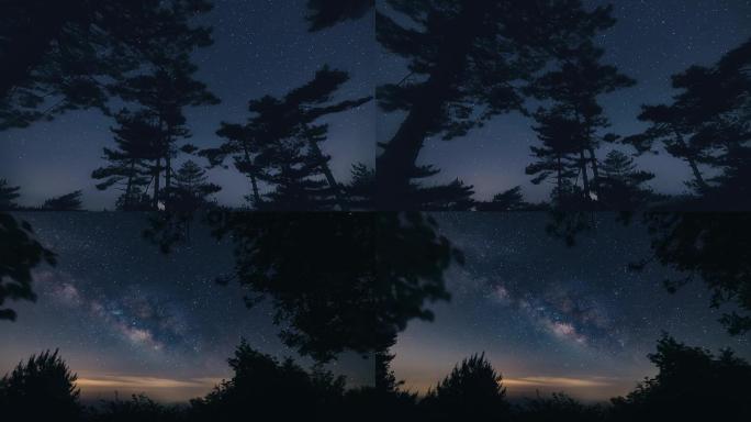 在森林看星空与银河运镜延时杭州临安牵牛岗