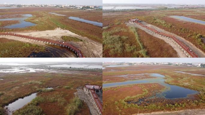 湖边跑道城区公园碱蓬草野地航拍3